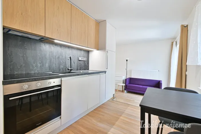 Pronájem bytu 1+kk, Brno, Netušilova, 32 m2