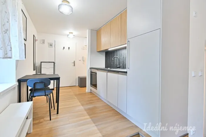 Pronájem bytu 1+kk, Brno, Netušilova, 32 m2
