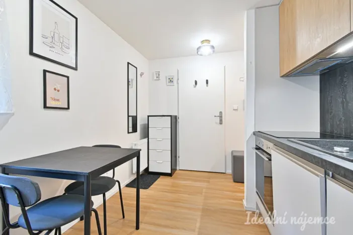 Pronájem bytu 1+kk, Brno, Netušilova, 32 m2