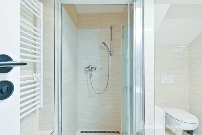 Pronájem bytu 1+kk, Brno, Netušilova, 32 m2