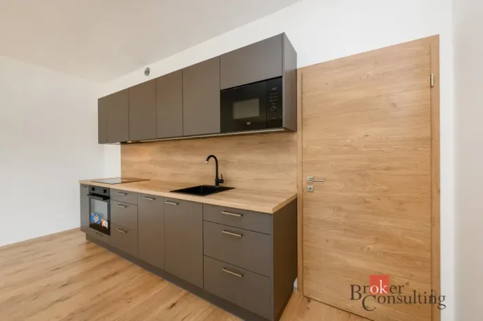 Pronájem bytu 2+kk, Plzeň - Jižní Předměstí, Železná, 56 m2
