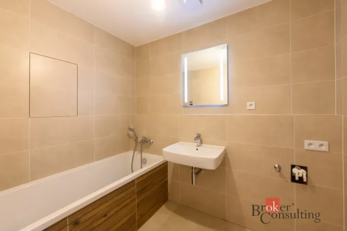 Pronájem bytu 2+kk, Plzeň - Jižní Předměstí, Železná, 56 m2