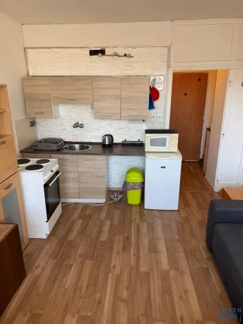 Pronájem bytu 1+kk, Horní Slavkov, Dlouhá, 20 m2