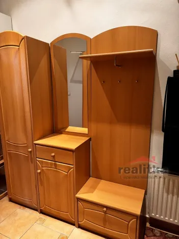 Pronájem bytu 1+kk, Opava - Předměstí, Na Nivě, 35 m2