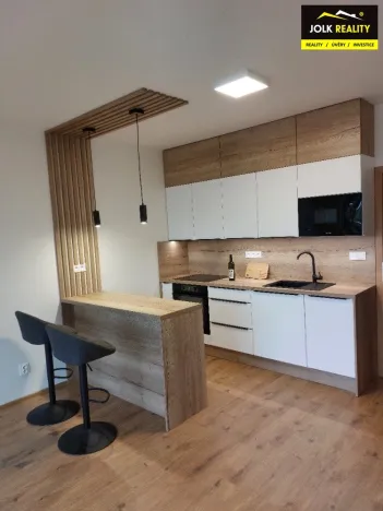 Pronájem bytu 1+kk, Opava, Císařského pluku, 41 m2