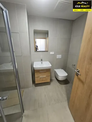 Pronájem bytu 1+kk, Opava, Císařského pluku, 41 m2
