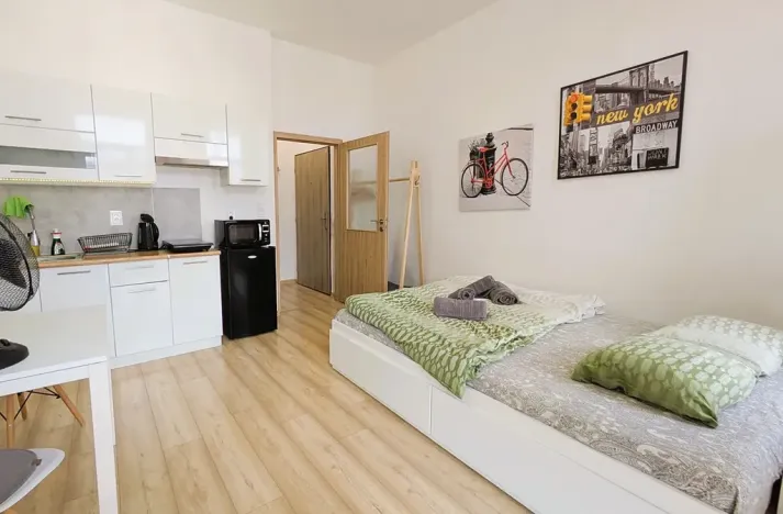 Pronájem bytu 1+kk, Brno, Vlhká, 21 m2