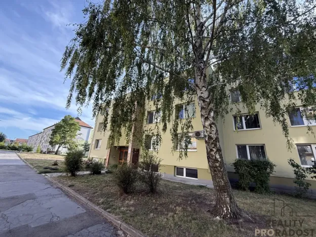Pronájem bytu 2+1, Mikulov, St. Živného, 50 m2