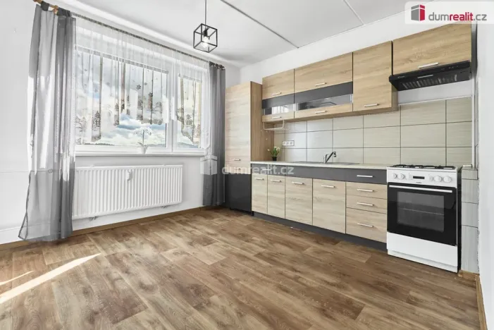 Prodej bytu 1+1, Ostrov, Družební, 41 m2