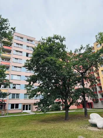Pronájem bytu 3+1, České Budějovice, V. Volfa, 68 m2