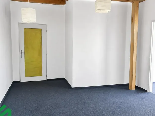 Pronájem vícegeneračního domu, Praha - Libeň, Na hrázi, 400 m2
