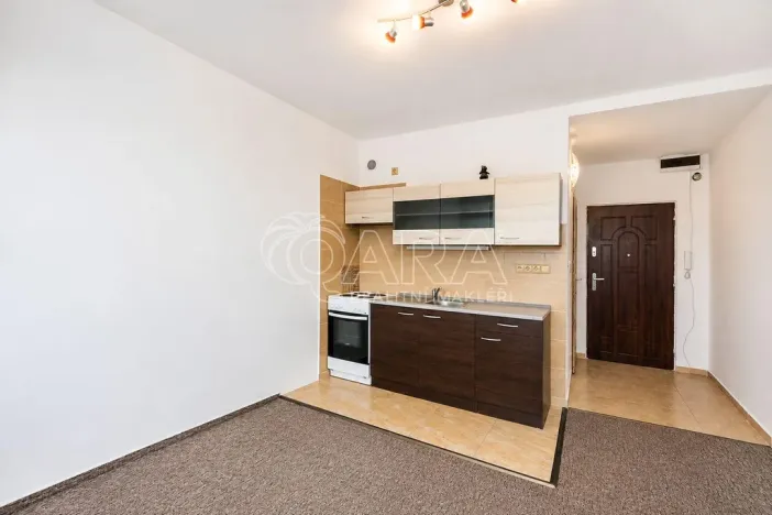 Prodej bytu 1+kk, Tábor, Petrohradská, 19 m2