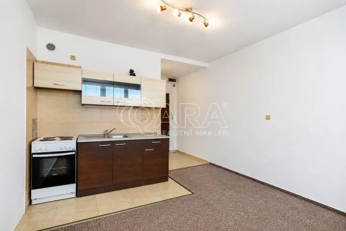 Prodej bytu 1+kk, Tábor, Petrohradská, 19 m2