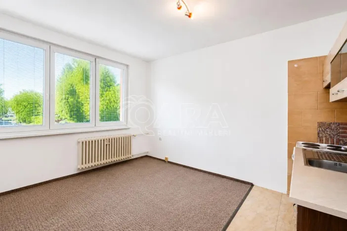 Prodej bytu 1+kk, Tábor, Petrohradská, 19 m2