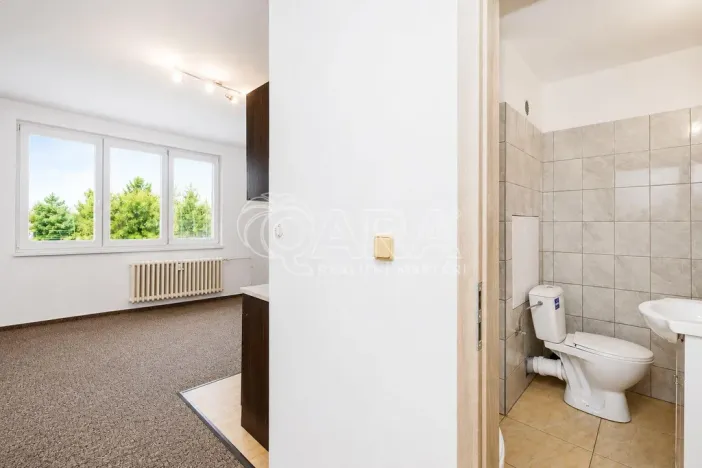 Prodej bytu 1+kk, Tábor, Petrohradská, 19 m2