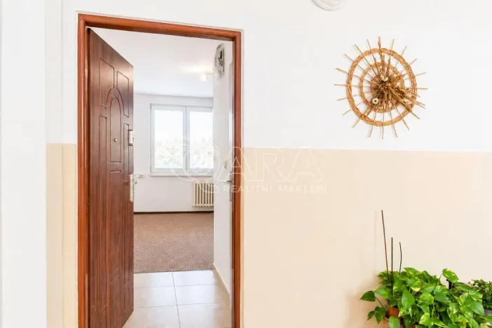 Prodej bytu 1+kk, Tábor, Petrohradská, 19 m2