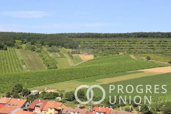Prodej rodinného domu, Nechvalín, 100 m2