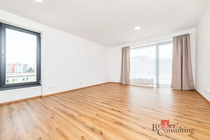Pronájem bytu 1+kk, Plzeň - Jižní Předměstí, Železná, 47 m2