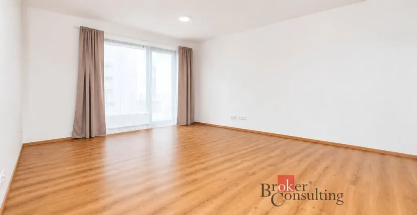 Pronájem bytu 1+kk, Plzeň - Jižní Předměstí, Železná, 47 m2