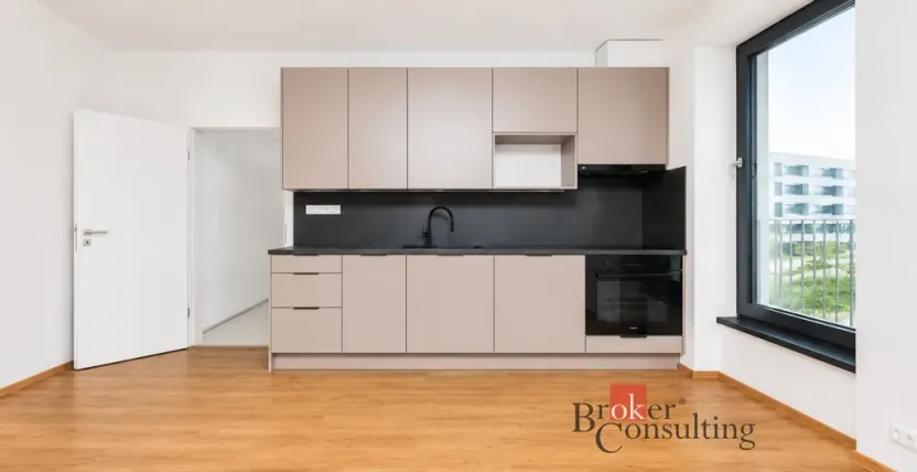Pronájem bytu 1+kk, Plzeň - Jižní Předměstí, Železná, 47 m2