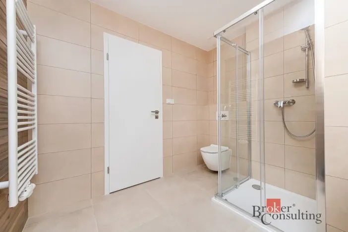 Pronájem bytu 1+kk, Plzeň - Jižní Předměstí, Železná, 47 m2