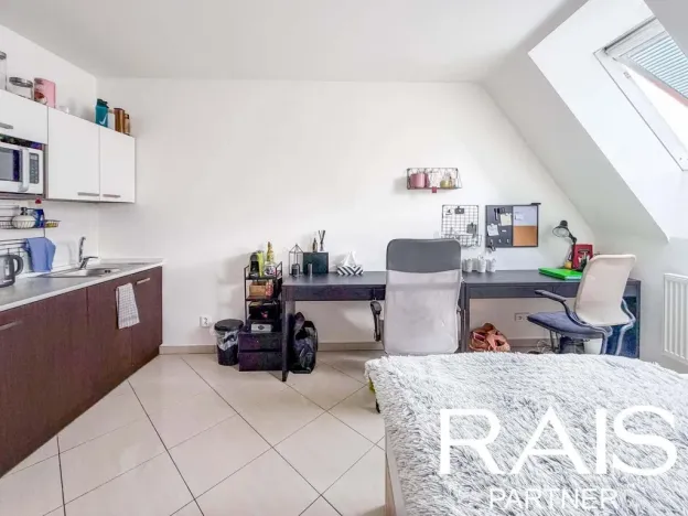 Prodej bytu 1+kk, Brno - Husovice, Svitavská, 30 m2
