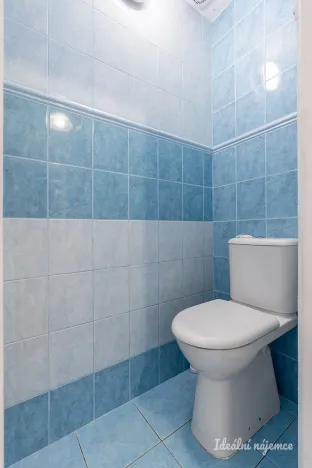 Pronájem rodinného domu, Brandýsek - Olšany, Olšanská I, 100 m2