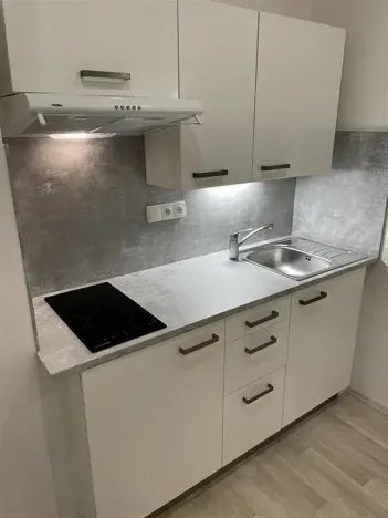 Pronájem bytu 1+1, Praha - Vinohrady, Hradecká, 37 m2