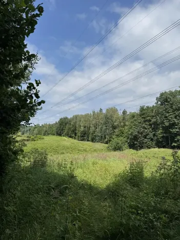Prodej rybníku, Karviná, 12501 m2
