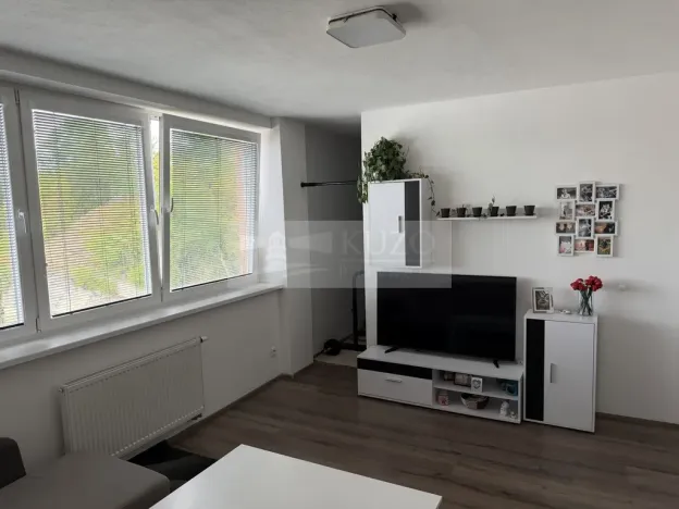 Prodej bytu 2+kk, Mladá Boleslav, Laurinova, 45 m2