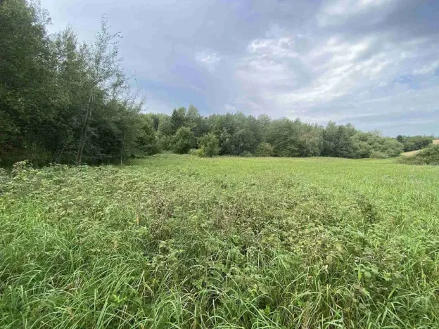 Prodej pozemku, Písečné - Slavětín, 4446 m2