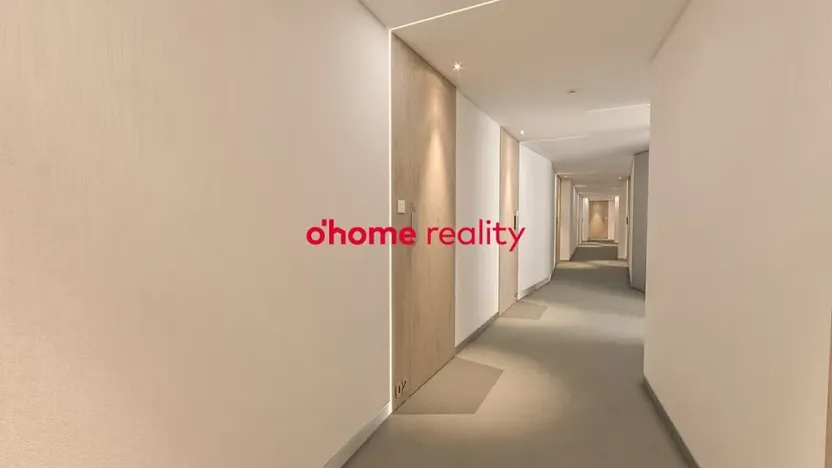 Prodej bytu 1+kk, Olomouc, Okružní, 30 m2