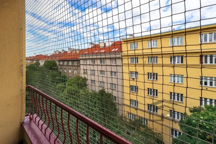 Prodej bytu 3+1, Praha - Žižkov, Biskupcova, 87 m2