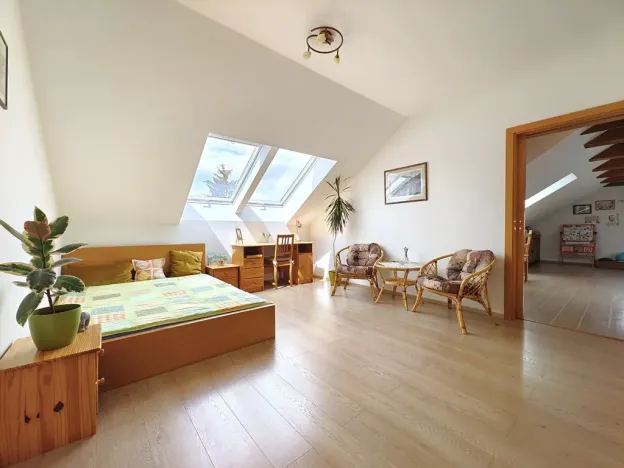 Prodej rodinného domu, Nový Vestec, U Tří Cest, 224 m2