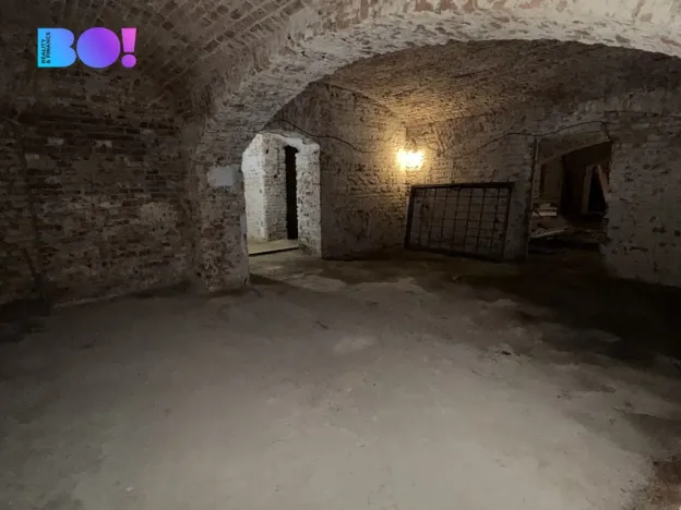 Pronájem obchodního prostoru, Praha, Ostrovní, 316 m2