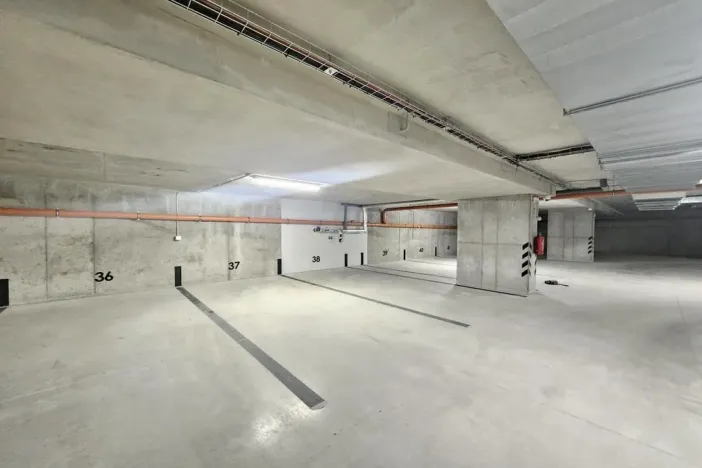 Pronájem bytu 2+kk, Plzeň - Jižní Předměstí, U Borského parku, 67 m2