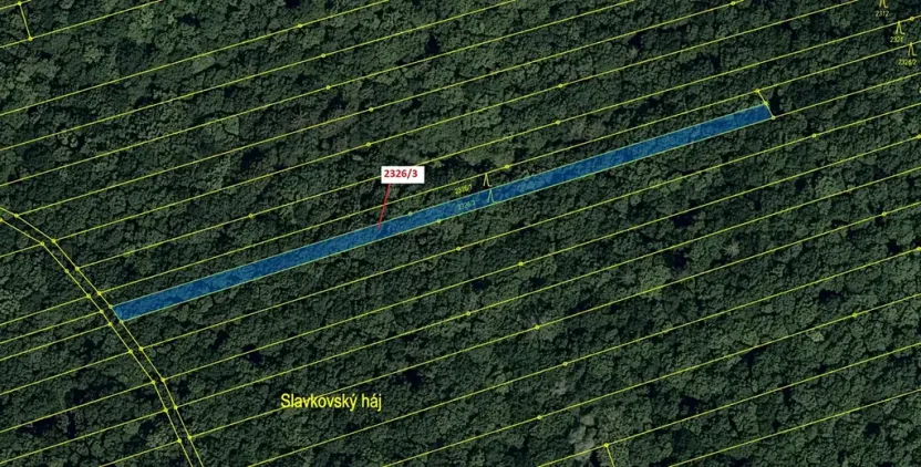 Dražba lesa, Slavkov, 1084 m2