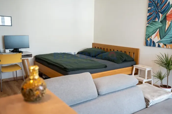 Prodej bytu 1+kk, České Budějovice, České Vrbné, 45 m2