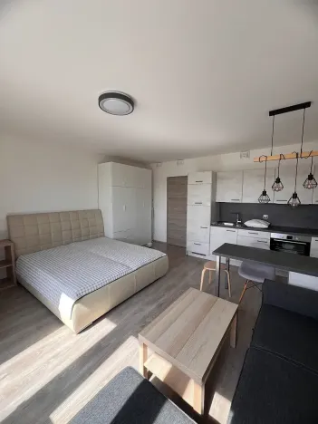 Pronájem bytu 1+kk, Praha - Horní Měcholupy, Hornoměcholupská, 40 m2