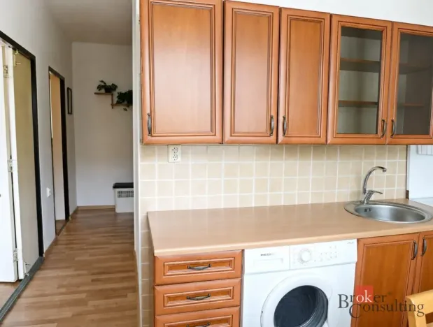 Prodej bytu 2+1, Bílina - Teplické Předměstí, M. Švabinského, 54 m2