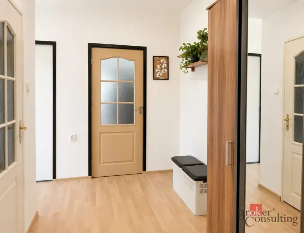 Prodej bytu 2+1, Bílina - Teplické Předměstí, M. Švabinského, 54 m2