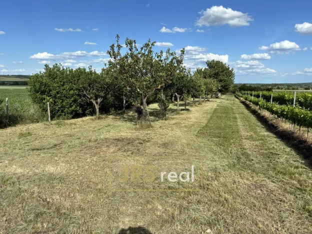 Prodej zahrady, Šakvice, 5111 m2