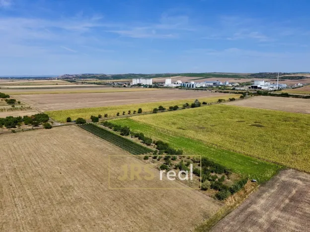 Prodej zahrady, Šakvice, 1690 m2