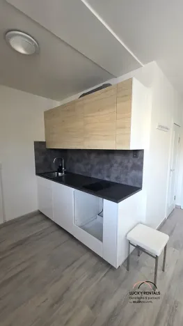 Pronájem bytu 2+kk, Průhonice, U Křížku, 44 m2