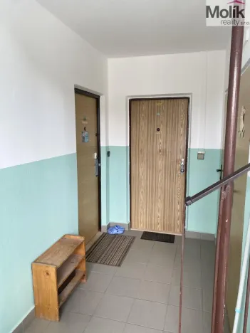Prodej bytu 3+1, Teplice - Prosetice, Rovná, 69 m2