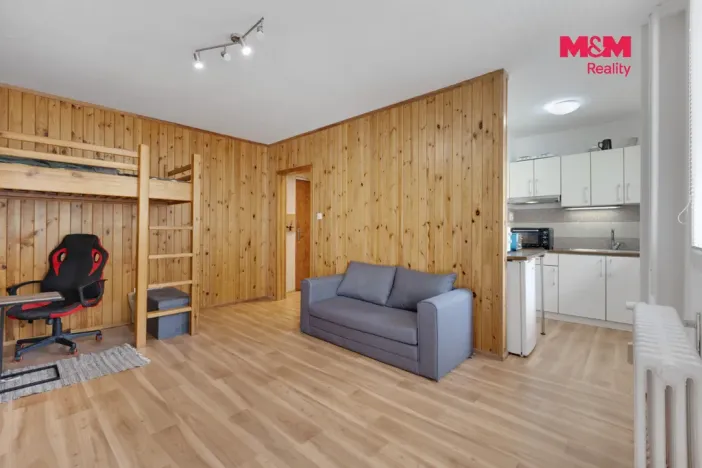 Prodej bytu 1+kk, Kladno - Kročehlavy, Litevská, 27 m2