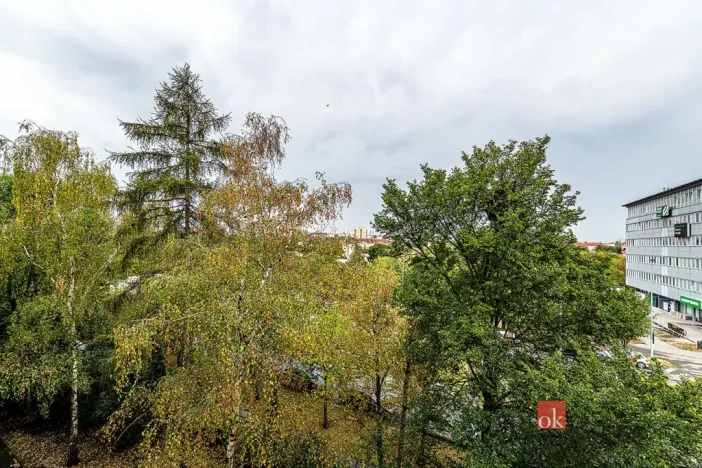 Prodej bytu 2+1, Praha - Strašnice, Oravská, 49 m2