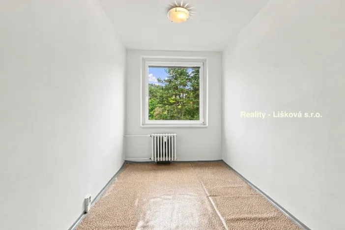 Prodej bytu 3+1, Ústí nad Labem - Krásné Březno, Anežky České, 70 m2