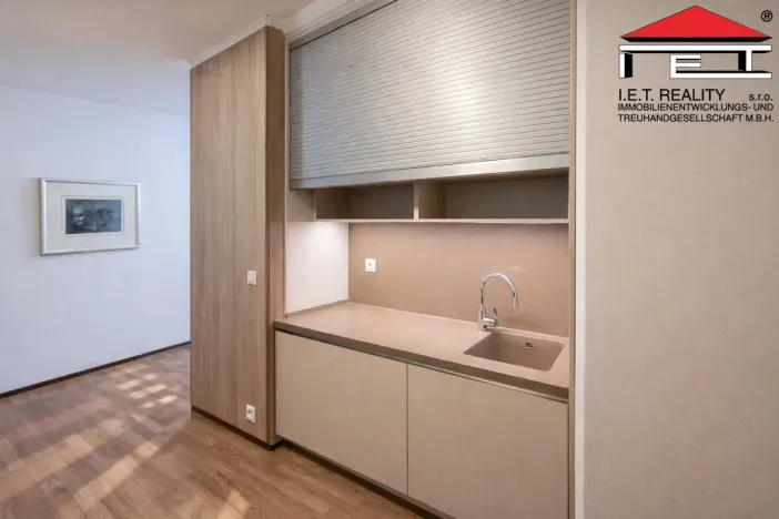 Pronájem bytu 1+kk, Brno, Údolní, 23 m2