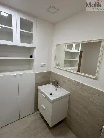 Prodej bytu 3+1, Teplice - Trnovany, Zemská, 67 m2